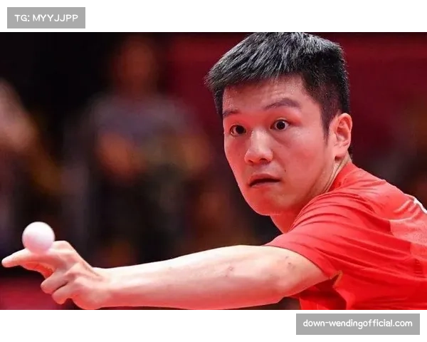 武术散打男子75公斤级决赛林宏伟2比0胜 厦门首夺该项目金牌